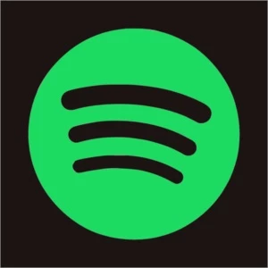 Spotify 1 Mês - Premium