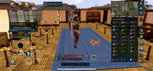 Conta Runescape rs3 13-14 anos