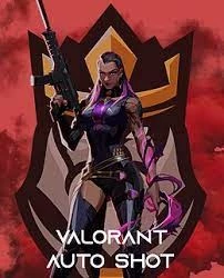 Pacote - Spoofer, Aimbot, Triggerbot e macro. - Valorant