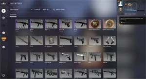 CSGO PRIME 18 ANOS MEDALHAS 5 E 10 ANOS R$274,93 DE SALDO - Counter Strike