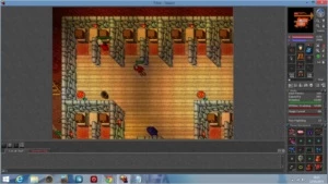 Ed lv 205 (aurea) - Tibia