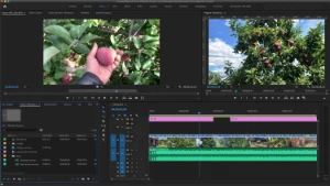 Adobe After Effects 2023 + Atualizações Futura - Softwares e Licenças