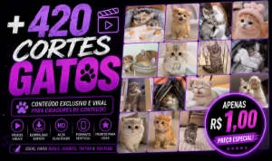 + 420 cortes Gatos