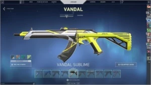 Conta de Valorant MUITAS SKINS!