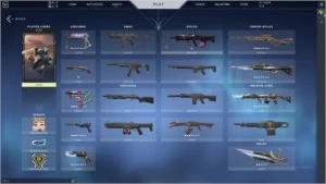 Conta Valorant SKINS + 14025 VP