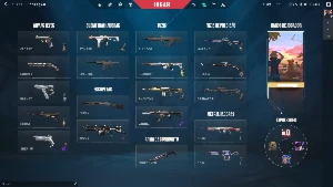 Br | 32 Skins | Vandal Sentinela Da Luz| Kuronami Sherife - Valorant
