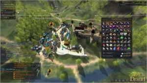 Black Desert Conta 2x 60  6pets 1b+silver - Outros