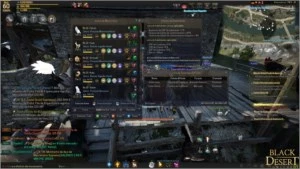 Black Desert Conta 2x 60  6pets 1b+silver - Outros
