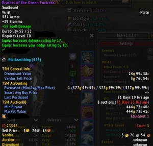 Prot Paladin Faerlina - Horda - Blizzard