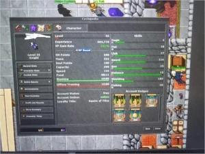 VENDO ACCOUNT COM 1131 LOYALITY  E 3 MAKERS SKILL ALTO! - Tibia