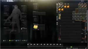 Escape From Tarkov conta antiga