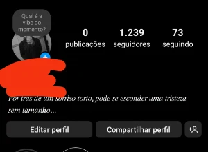 Instagram conta no precinho