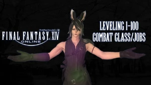 Leveling Combate - Final Fantasy FFXIV