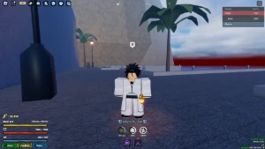 Conta roblox com varios items