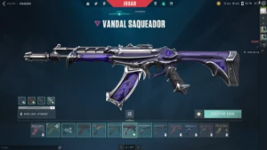 Conta Valorant *Muitas Skins*