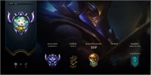 Conta LOL Diamante 105 heros, 90 skins - League of Legends