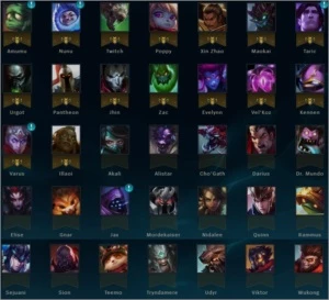 Conta LOL - 91 Campeões - 34 Skins (vale 40k De Rp As 34) - League of Legends