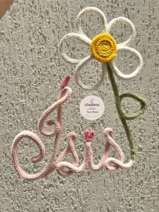 Porta Maternidade Nome com Flor em Tricotin - Artesanato e Personalizados