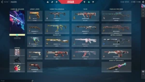 Conta Valorant 3600 Reais Gastos
