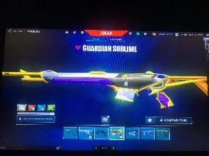 Conta valorant 7 skins vandal  + todas armas