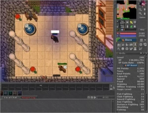 Paladin 200 + Druida 116 + Knight 101 + Loyalty Mundo Nefera - Tibia