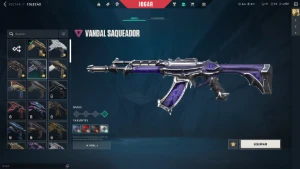 Conta Valorant Com Mais De 900 Reais Gastos