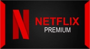 Netflix 1 Ano - Premium