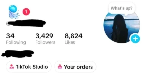 conta Tik Tok 3400 seguidores - Redes Sociais