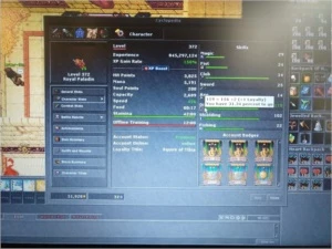 RP LVL 372 SKILLS 117/102 ML 29 NA BARRA - Tibia