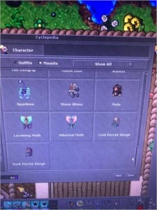 RP 422 + EK 327 (NON-PVP) - Tibia