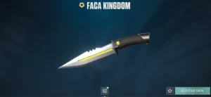 Conta Com [31] Skins [2] Facas ☑️ [Vandal .Exe E Mais] Full - Valorant