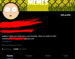 Página no Twitter - 6k seguidores com Engajamento Alto - Redes Sociais