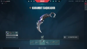 Conta valorant skins bonitas