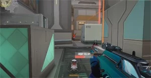VALORANT AIMBOT 100% INDETECTÁVEL - VITALÍCIO (COLOR BASED)