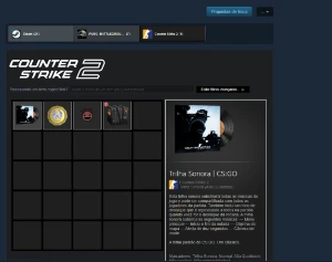 Steam Cs2 (Prime) Lvl 20 Gc E Lvl 10 Faceit - Counter Strike