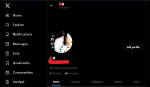 Conta twitter 2009 [ Full acesso ] Envio Automatico - Redes Sociais