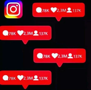 Seguidores Instagram