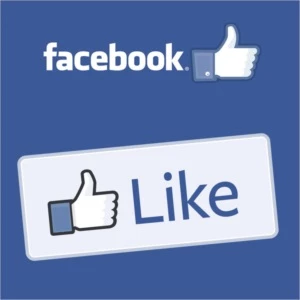1000 LIKES PÁGINA FACEBOOK - Outros