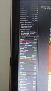 EK 509 SERVER PVP - Tibia