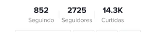 Vendo Conta De Tiktok Com 2K De Seguidores E 14K De Curtidas - Assinaturas e Premium