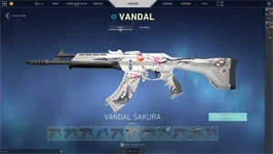 conta de valorant com muitas skins
