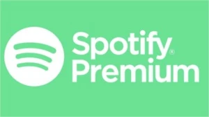 Spotify Premium acesso ilimitado Garantia de 100% - Assinaturas e Premium