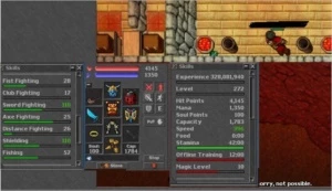 EK 272 + EK 157 + ED 65 - Tibia