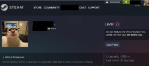 Conta Cs2 Prime C/4 Medalhas + 21 Anos De Steam + Premier - Counter Strike