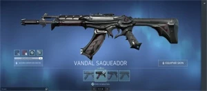 VANDAL saqueadora +sentinelas da luz/ Phantom sublime e skin - Valorant