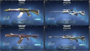CONTA VALORANT IMORTAL + PASSES + 11 SKINS COMPRADAS