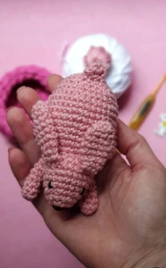 Mini Coelho