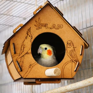 Casinha para Calopsita, Periquito e Agapornis - Flap Pet - Artesanato e Personalizados