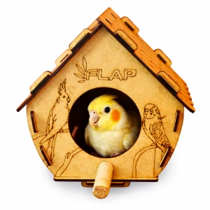 Casinha para Calopsita, Periquito e Agapornis - Flap Pet - Artesanato e Personalizados