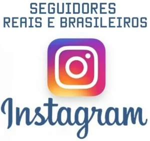 Instagram seguidores brasileiros sem quedas com reposição - Outros